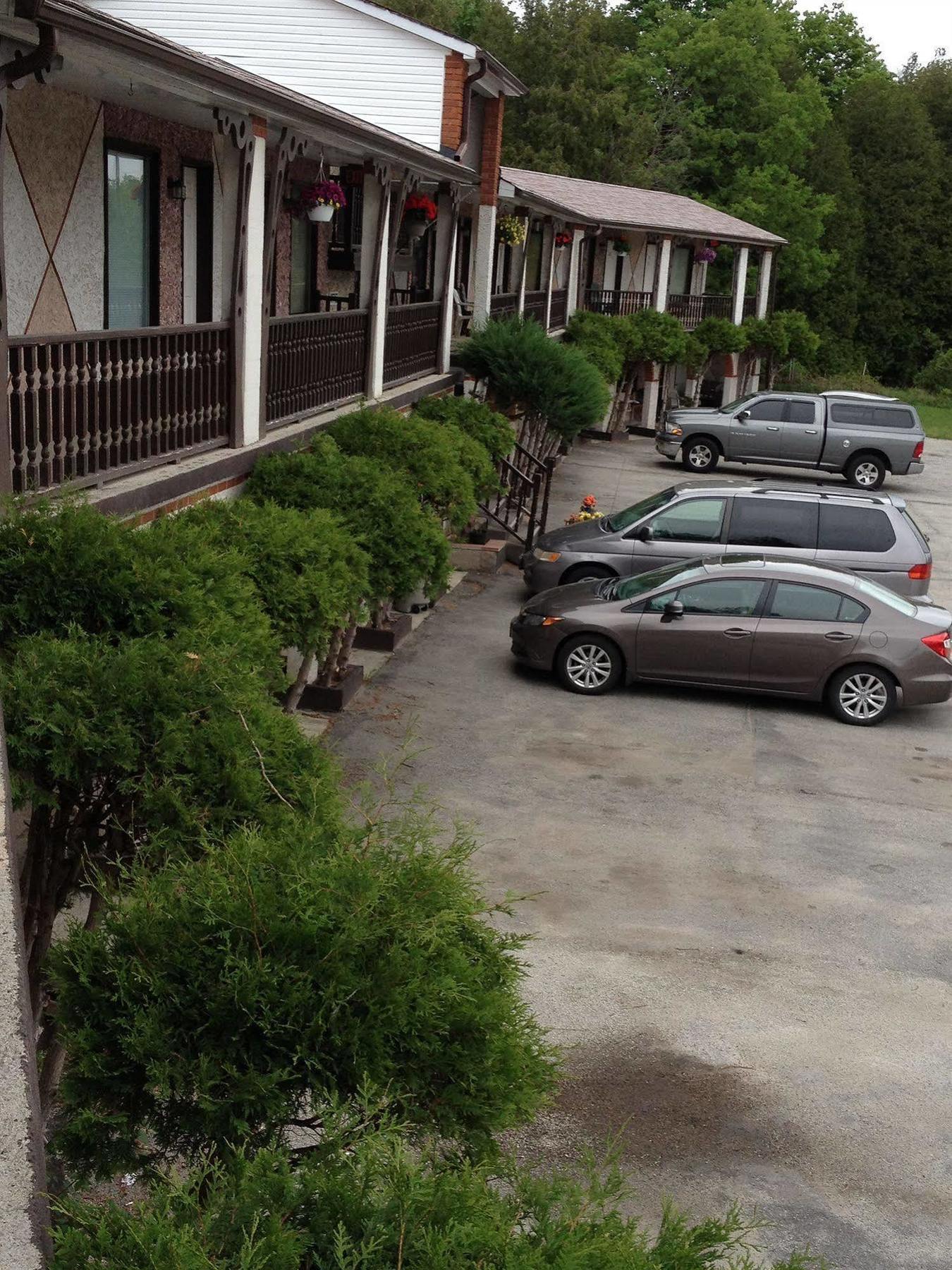 Cedar Springs Motel Acton Dış mekan fotoğraf